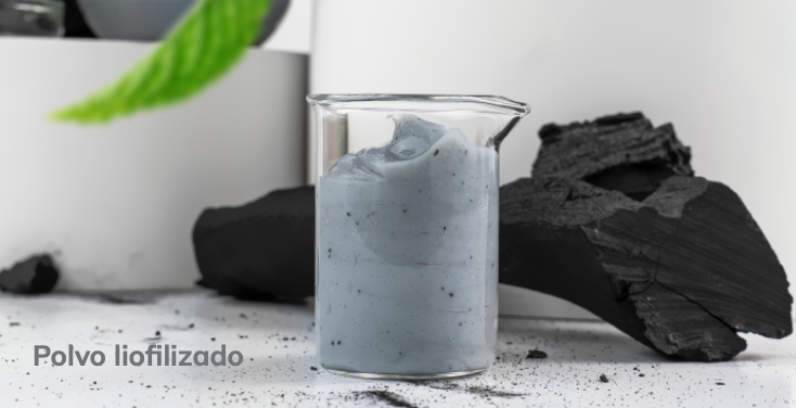 Menta Hair - Tratamiento Detox