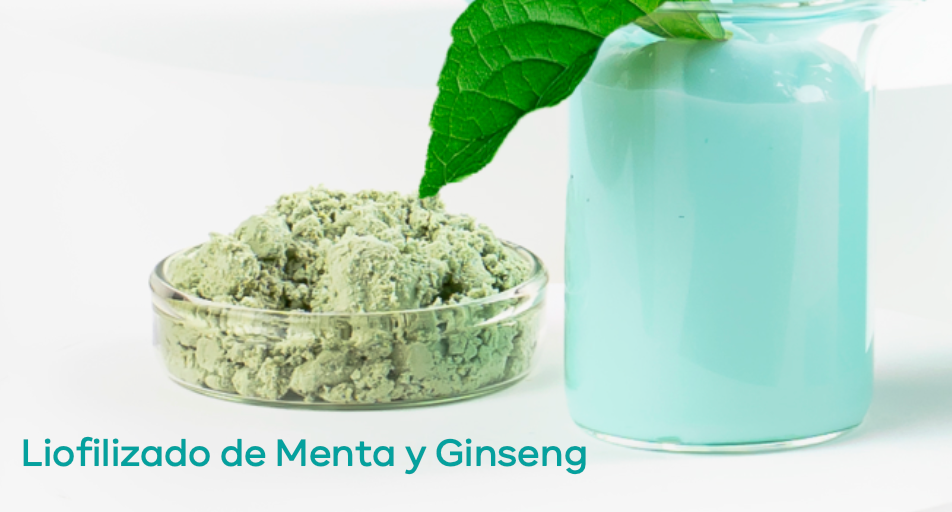 Menta Hair - Shampoo Menta y Ginkgo Biloba