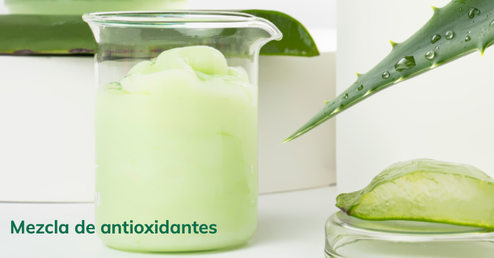 Menta Hair - Tratamiento Regenerador Aloe Vera