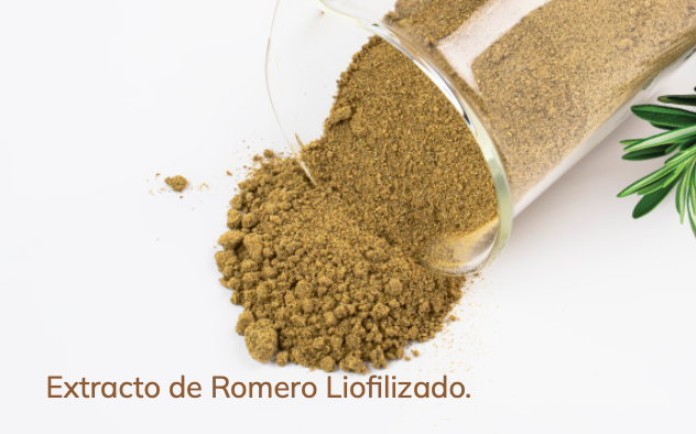 Menta Hair - Shampoo Elixir de Romero